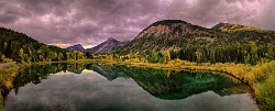 CO Fall Colors  CO Fall Colors : CO Fall Colors