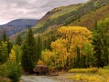 CO Fall Colors  CO Fall Colors : CO Fall Colors