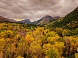 CO Fall Colors  CO Fall Colors : CO Fall Colors
