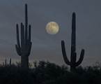 Desert Moon Series  Full Moon, Beaver Moon, Soutwest Desert Moon : Full Moon, Beaver Moon, Soutwest Desert Moon