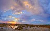 Sea of Cortez  07