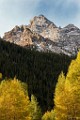 2017 Fall Colors  12  Colorado Fall Colors