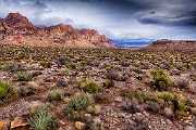 Peter Shinyeda Photography  Redrock Canyon, near LasVagas, Navada : Nevada, Redrock_Canyon