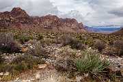 Peter Shinyeda Photography  Redrock Canyon, near LasVagas, Navada : Nevada, Redrock_Canyon