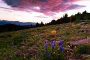 Peter Shinyeda Photography  Sunrise at Shrine Ridge, Colorado : Colorado, Shrine_Ridge, Sunrise