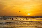 Peter Shinyeda Photography  Sea of Cortez Sunrise, Mexico : Mexico, Sea_of_Cortez, Sunrise