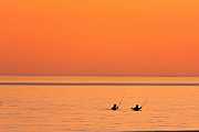 Peter Shinyeda Photography  Two Fisher Men, Sea of Cortez, Mexico : Mexico, Sea_of_Cortez, Sunset