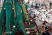 Peter Shinyeda Photography  Shrimp Boats, Sea of Cortez, Mexico : Mexico, Sea_of_Cortez, Shrimp_Boats